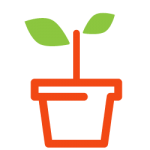 plante