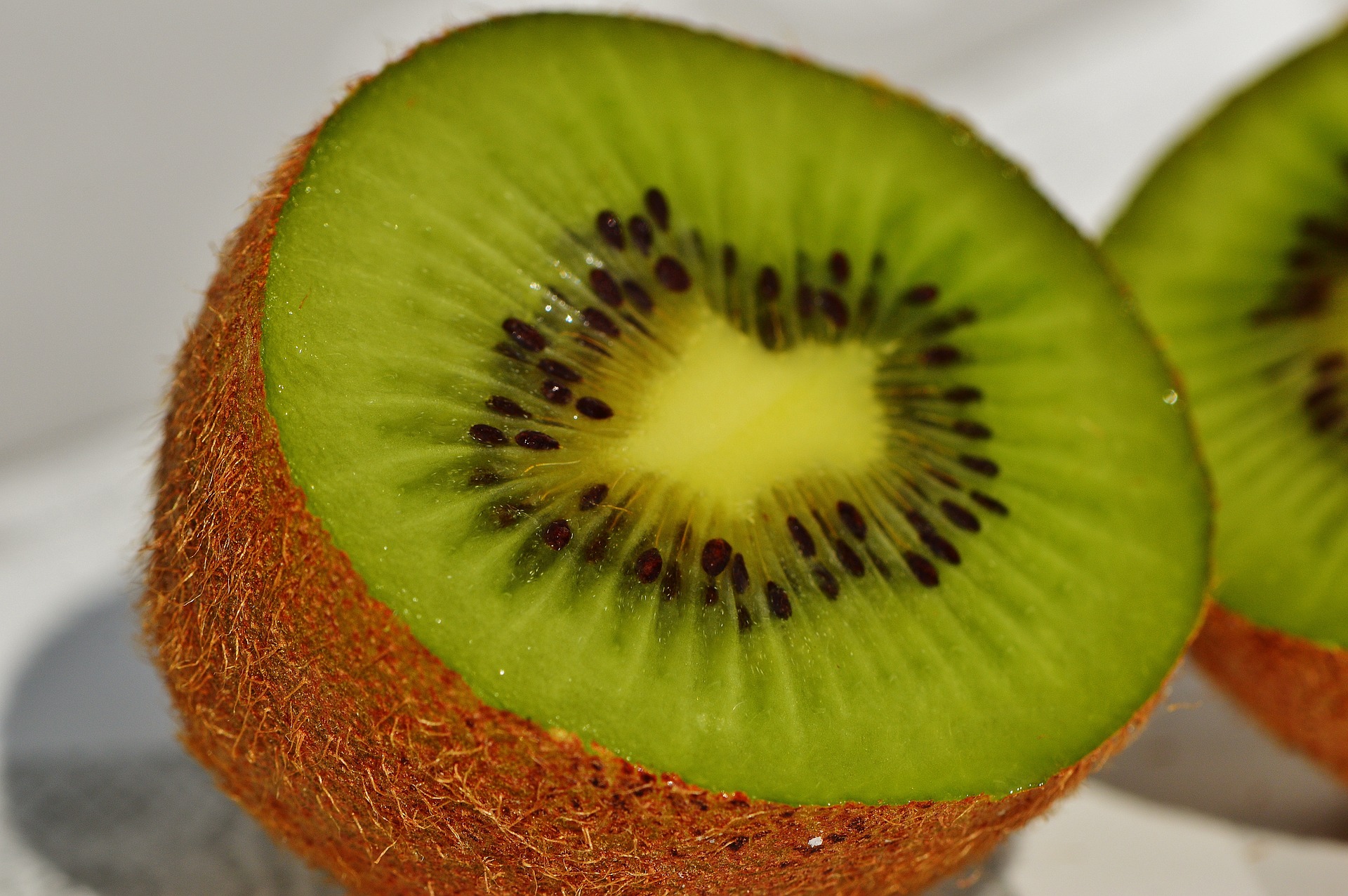 Le kiwi - Association Miam