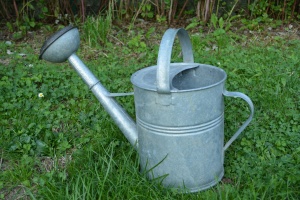 watering-can-1376691_1920