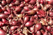 red-shallots-5768_1920-6