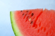 watermelon-390314_1920