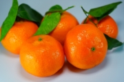 oranges-795634_1920-1-2