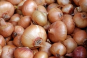 onions-1397037_1920-3