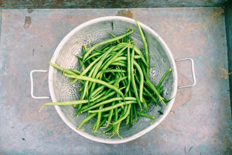 Haricots verts