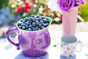 blueberries-864628_1920