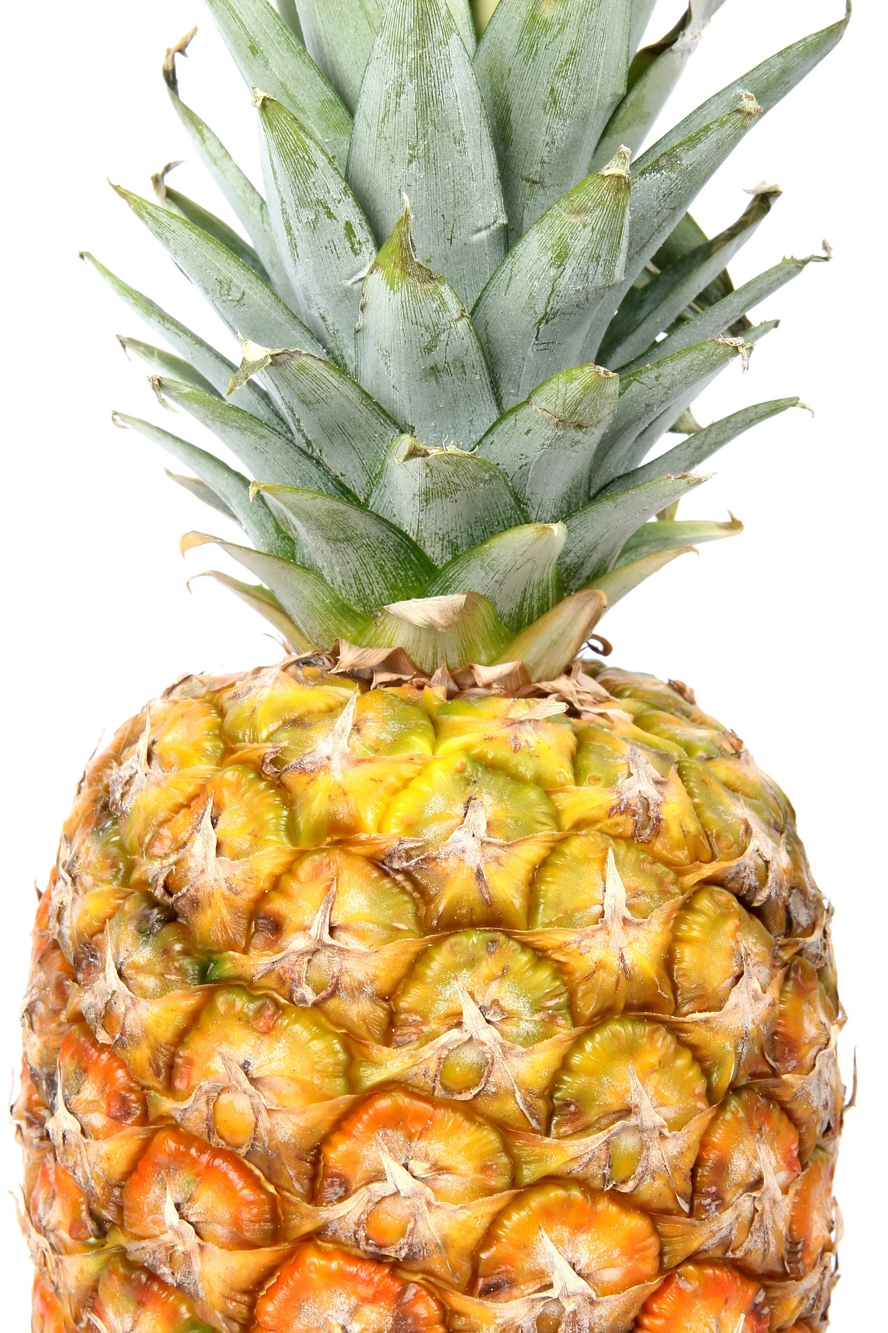L'ananas Association Miam