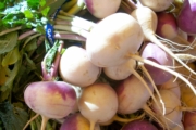 turnips-998_1920-1