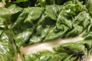 swiss-chard-663834_1920-1
