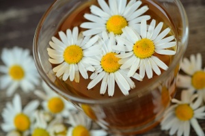 chamomile-829220_1920