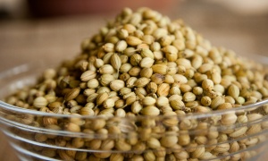 coriander-390708_1920