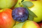 fruits-1868977_1920-1 fruits-1868977_1920-1