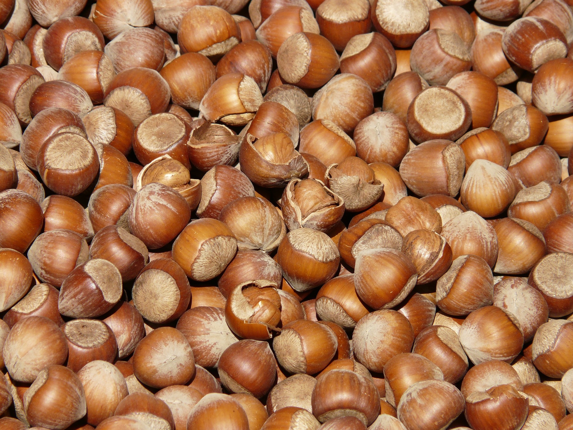 La Noisette Association Miam