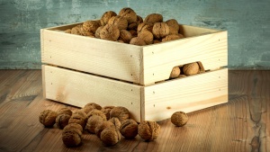 nuts-1213037_1920