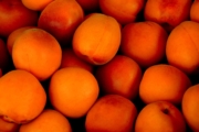 apricot-1556851_1920-1 apricot-1556851_1920-1