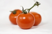 tomatoes-1998032_1920-3 tomatoes-1998032_1920-3