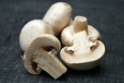 champignons champignons