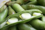 legumes-3106259_1920-1