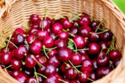 cherries-1453333_1920-1-1 cherries-1453333_1920-1-1