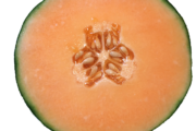 melon-2010396_1920-1
