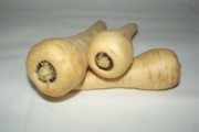 parsnip-20320_1920-3-1-1