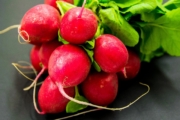 radishes-931934_1920-2-2-1