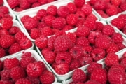 raspberry-1465988_1920-1