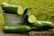 cucumbers-1588945_1920