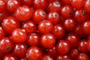 currants-404688_1920 currants-404688_1920