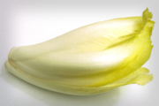 endive-1-2